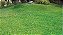 Mousse de Hidrossemeadura de Grama   Hydrograss Spray - Imagem 5