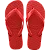 Chinelo Havaianas Top (37/38) - 1 Par- Vermelho Rubi - Imagem 1