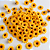 Flor Girassol 40mm Amarelo Ouro 100 unidades Ro. 153810 - Imagem 1