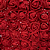 Rosinha EVA - 144 unidades - Cor 145 Vermelho - Imagem 1
