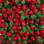 Rosinha Artificial 144 Unidades Cor 145 Vermelho - Imagem 1
