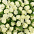 Rosinha Artificial 144 Unidades Cor 296 Natural cru - Imagem 1