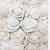 Rosinha EVA - 144 unidades - Cor 101- Branco - Imagem 1