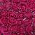 Rosinha EVA - 144 unidades - Cor 312- Rosa Escuro - Imagem 1