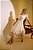 Vestido Bela - Imagem 7
