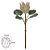 H.PROTEA FROSTED C/COAT (SALMON) 50cm (FLORARTE) - Imagem 1