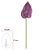 H.ANTURIO REAL TOQUE (PURPURA) 90cm (FLORARTE) - Imagem 1