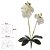 H.ORQUIDEA PHALAENOPSIS C/FOLHA REAL TOQUE X6 (BRANCO) 50cm (FLORARTE) - Imagem 1