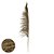 PLUMA PENDAO CANABRAVA C/ 3 HASTES DESIDRATADO (NATURAL) 150CM (FLORARTE) - Imagem 1