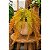 Pendente Folhagem Planta Artificial X5 Verde Outono 60cm - Imagem 3