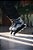Patins Flying Eagle X5 Shrike Pro R5 – LDPK - Imagem 4
