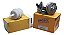 Kit Bomba De Combustivel Opala 4100 6c Brosol + Filtro Mahle - Imagem 2