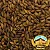 Malte Chateau Café 100g - Imagem 1