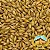 Malte Chateau Cara Gold 1kg - Imagem 1