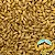 Malte Chateau Smoked (Defumado) 100g - Imagem 1