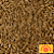 Malte Weyermann Melanoidina 100g - Imagem 1