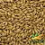 Malte Pale Agraria 100g - Imagem 1