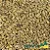 Malte Agraria Vienna 100g - Imagem 1