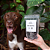 Rim bovino (100g) - Pawsitive - Imagem 1