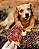 Bexiga Bovina (150g) - LUV - Imagem 5