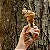 Knot - Natuka - Imagem 4