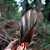 Orelha bovina (3 un.) - Lecker - Imagem 2
