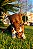 Garganta bovina (2 un.) - Lecker - Imagem 1