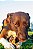 Garganta bovina (2 un.) - Lecker - Imagem 7