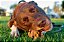Garganta bovina (2 un.) - Lecker - Imagem 5
