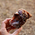 Garganta bovina (2 un.) - Lecker - Imagem 8