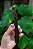 Bifinho bovino (100g) - LUV - Imagem 4