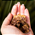 Carne ovina (100g) - LUV - Imagem 1
