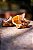 Ouvido Bovino (100g) - LUV - Imagem 2