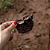 Rim bovino (160g) - Lecker - Imagem 1