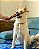 Vergalho bovino inteiro - LUV - Imagem 5