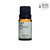 Blend Oleos Essenciais Puros 10ml Foco - Imagem 1