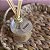 Difusor de Ambiente - Bambu -315 ml  N'da Lua - Imagem 2
