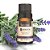Oleo Essencial 10ml Lavanda - Imagem 1