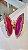 Borboleta com Banho Dourado - Agata Rosa - Imagem 1