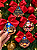 4 UNIDADES DE ENFEITE DE NATAL PERSONALIZADOS - Imagem 3
