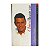 Chico Buarque para todos - Regina Zappa - Imagem 1