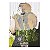Kemono Jihen - Volume 2 - Imagem 1