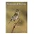 Neotropical Birding Nº 8 - Imagem 1