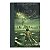 Percy Jackson E Os Olimpianos: O Ladrão De Raios - Livro 1 - Rick Riordan - Imagem 1