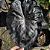 Colocasias - Oferta combinada #1 - Imagem 4