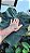Colocasia Crocodile Leather #23 - Imagem 5