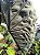Colocasia Crocodile Leather #23 - Imagem 4