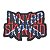 Patch Bordado Banda Lynyrd Skynyrd 7x10cm - Imagem 1