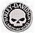 Patch Bordado Harley Davidson Skull Branca 6x6cm - Imagem 1