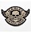 Patch Bordado Harley Davidson Hog Caveira Beg 12x8cm - Imagem 1